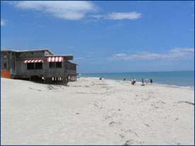 View of the Beach